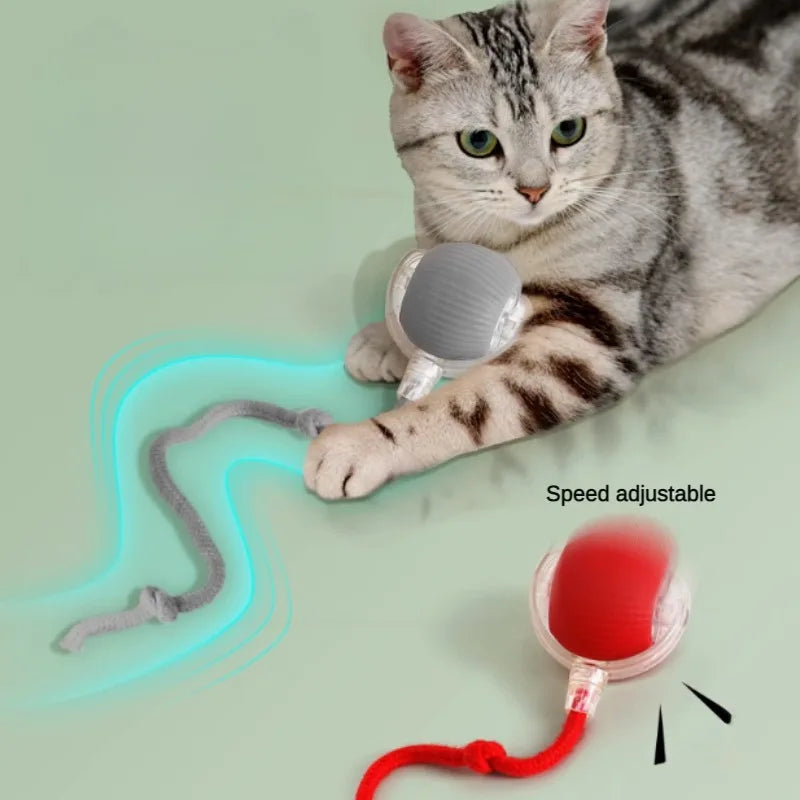 Oppladbar Interaktiv Rullende Ball for Katter