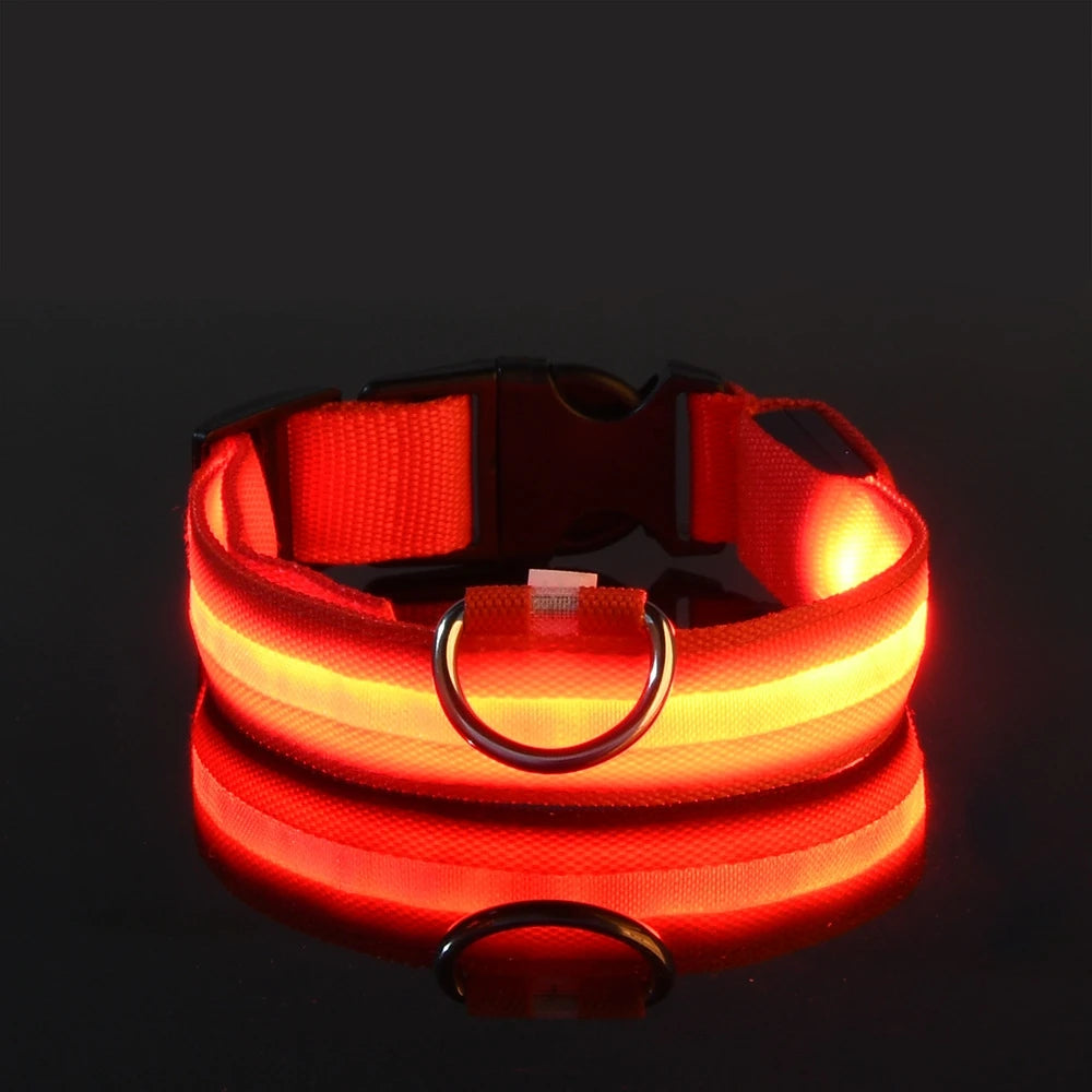 LED Hundehalsbånd – Lysende Nylon Sikkerhetsbånd
