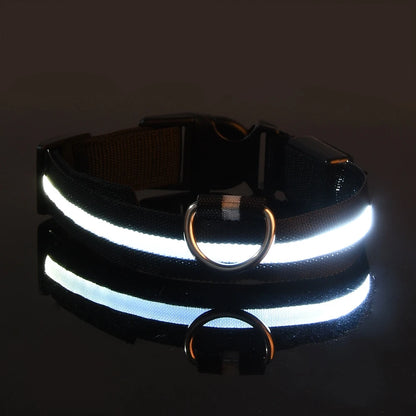 LED Hundehalsbånd – Lysende Nylon Sikkerhetsbånd
