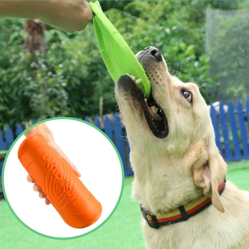 Silikon Flygende Hundefrisbee