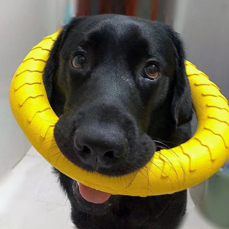 Dog ring toy – durable rubber chew toy for dogs of all sizes