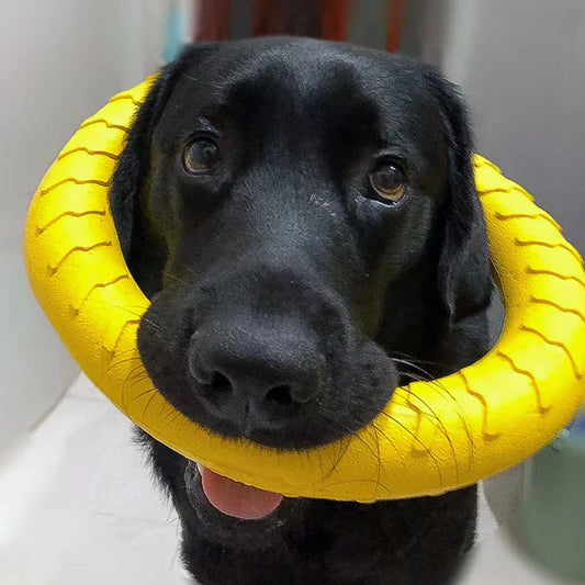 Dog ring toy – durable rubber chew toy for dogs of all sizes