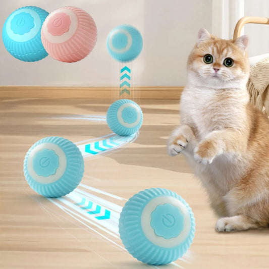 Automatisk Rullende Katteball