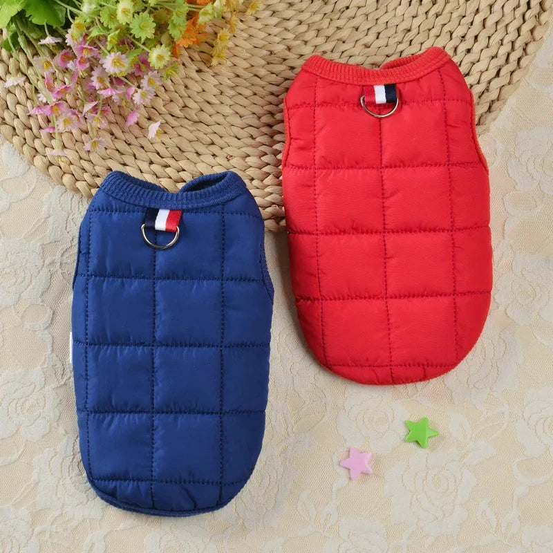 SnuggleWarm dog jacket – warm and cozy winter jacket for dogs, available in multiple sizes and colors