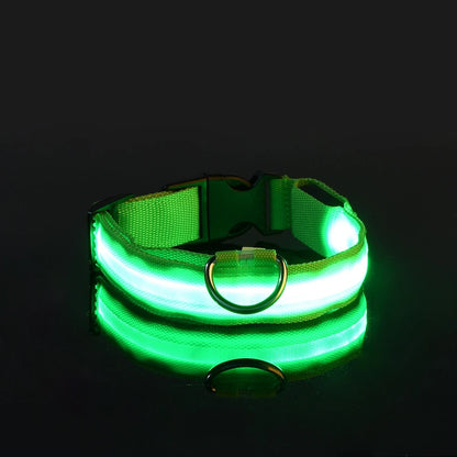 LED Hundehalsbånd – Lysende Nylon Sikkerhetsbånd