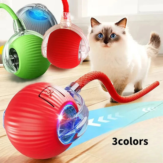 Oppladbar Interaktiv Rullende Ball for Katter