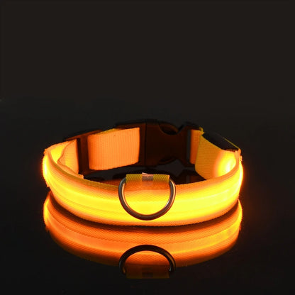 LED Hundehalsbånd – Lysende Nylon Sikkerhetsbånd