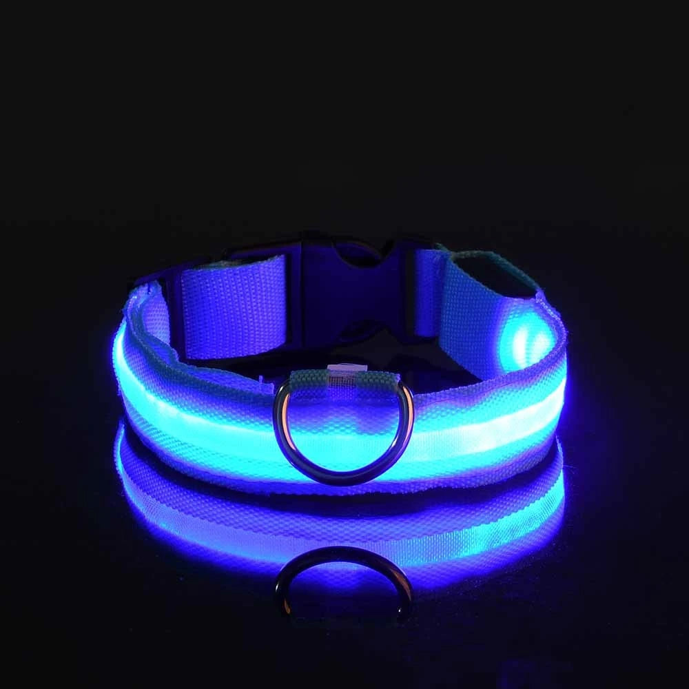 LED Hundehalsbånd – Lysende Nylon Sikkerhetsbånd