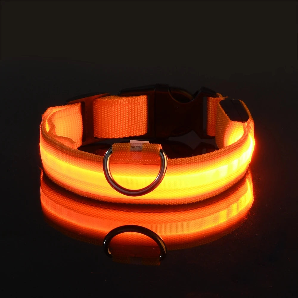 LED Hundehalsbånd – Lysende Nylon Sikkerhetsbånd