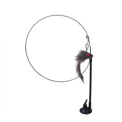 Fjærfugl Katteleke
