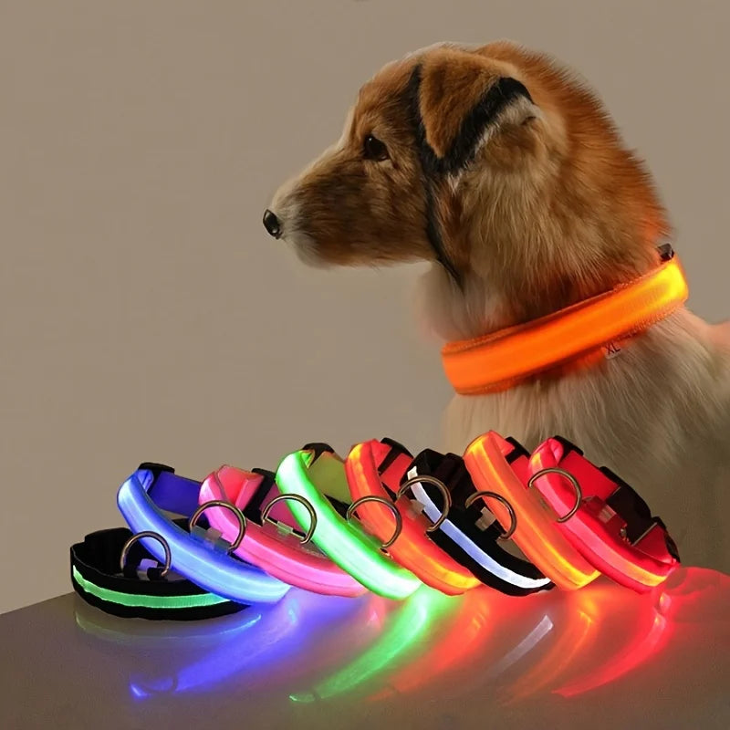 LED Hundehalsbånd – Lysende Nylon Sikkerhetsbånd