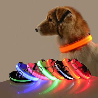 LED Hundehalsbånd – Lysende Nylon Sikkerhetsbånd