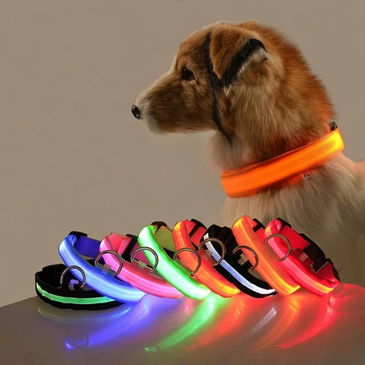 LED Hundehalsbånd – Lysende Nylon Sikkerhetsbånd