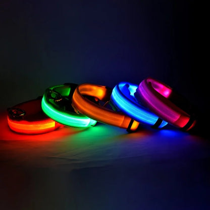 LED Hundehalsbånd – Lysende Nylon Sikkerhetsbånd