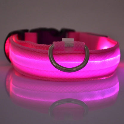 LED Hundehalsbånd – Lysende Nylon Sikkerhetsbånd