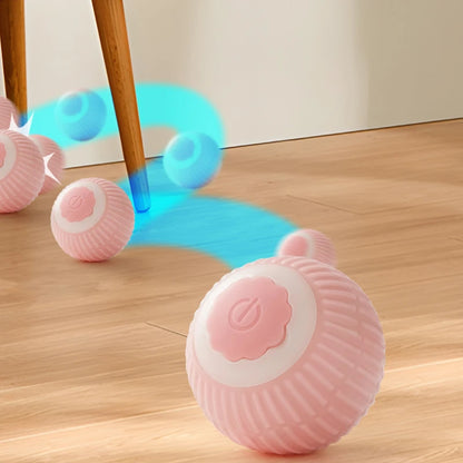 Automatisk Rullende Katteball