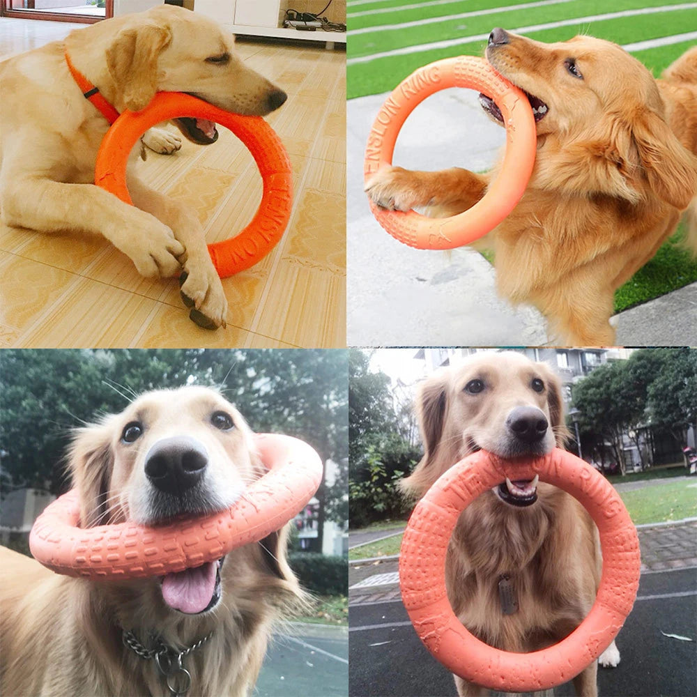Dog ring toy – durable rubber chew toy for dogs of all sizes