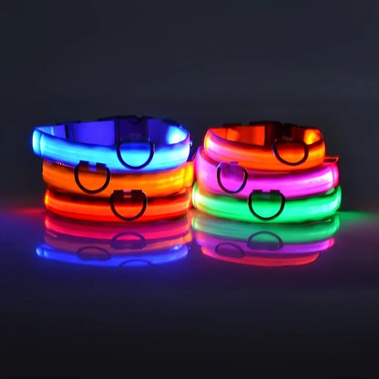 LED Hundehalsbånd – Lysende Nylon Sikkerhetsbånd