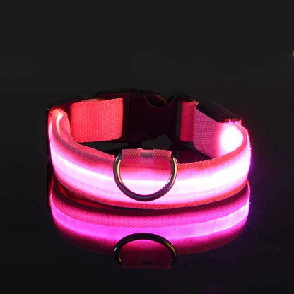 LED Hundehalsbånd – Lysende Nylon Sikkerhetsbånd
