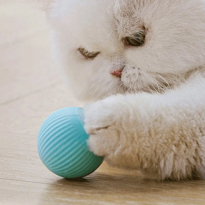Automatisk Rullende Katteball