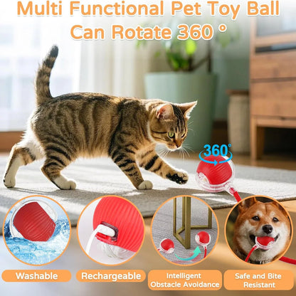 Oppladbar Interaktiv Rullende Ball for Hund og Katt